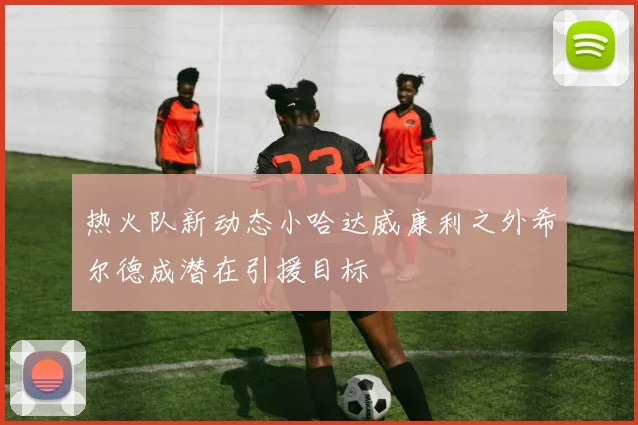 热火队新动态小哈达威康利之外希尔德成潜在引援目标