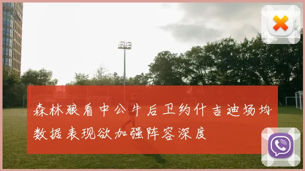 森林狼看中公牛后卫约什吉迪场均数据表现欲加强阵容深度