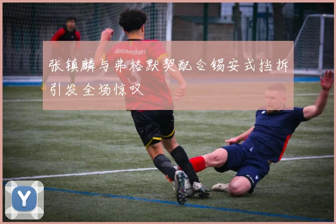 张镇麟与弗格默契配合锡安式挡拆引发全场惊叹